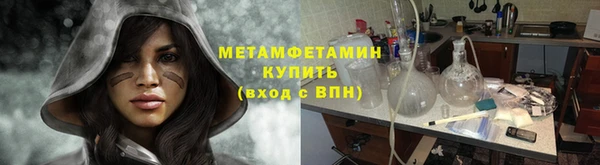 трава Корсаков