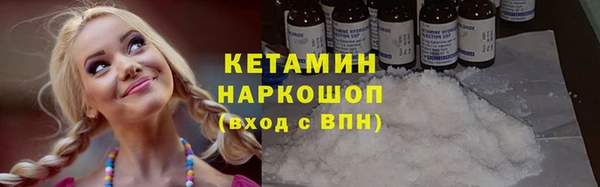трава Корсаков