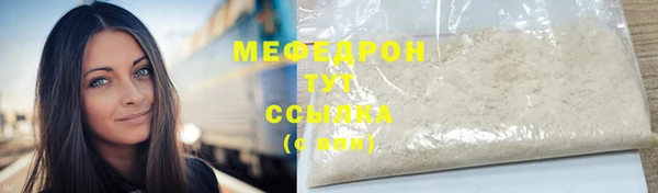 трава Корсаков