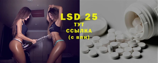трава Корсаков