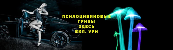трава Корсаков