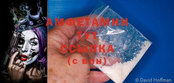 трава Корсаков