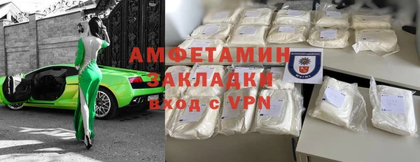 трава Корсаков